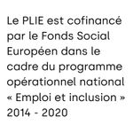 Le PLIE est confinancé par le Fonds Social Européen dans le cadre du programme opérationnel national "Emploi et inclusion" 2014-2020